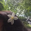 jade_labaco