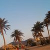 na..fthi.alzda1