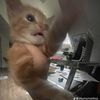 edie_nextdoor