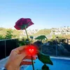 zinatahmadi00