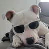 snoop_013