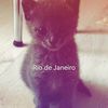 realcancermagnet57