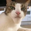 mishanikaaa