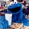 the_cookiemonster1982