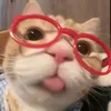 joanaaluizaa