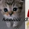 johnny_pekne_prosim