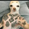 lslslslsls66