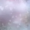 queen011223