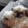 andreamckechnie