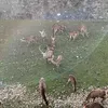 seisocu