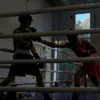 koshinee_8