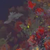 cate_rose_