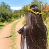 ph_sroor