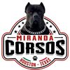 miranda_corsos