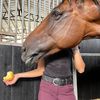 equestrianchica