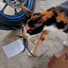 aldianugrahfebrianur