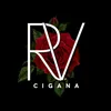 rosa_rvcigana