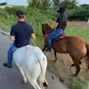 ysli_vitoria43