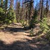 mttrailgirl
