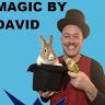 magicdavid1