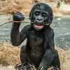 mudmonkey1306
