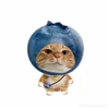 zeneeww