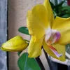 iuwbwk764