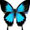 emmbee90