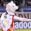 mateo_9911