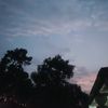 d4v1d4675