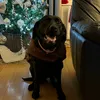 alfieweaver7