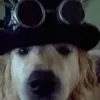 janemudge42