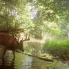 ilovemykayak