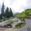 mukhtarjala