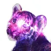 animallover217