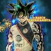 eduardocamacho250
