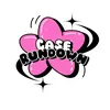 Case Rundown