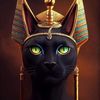 i.catlord