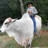 tiago.martins481