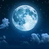 moonlight_ology