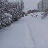 mehmet.ali..ersoy