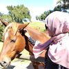 munadiadawood