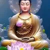 dieubinh001
