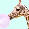 magicgiraffe00