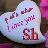 shvanduhoki6