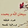 user815227942161