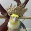 arte.e.bicho