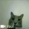 billybaxi
