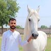 sheikhshafiq07