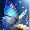rajae.82